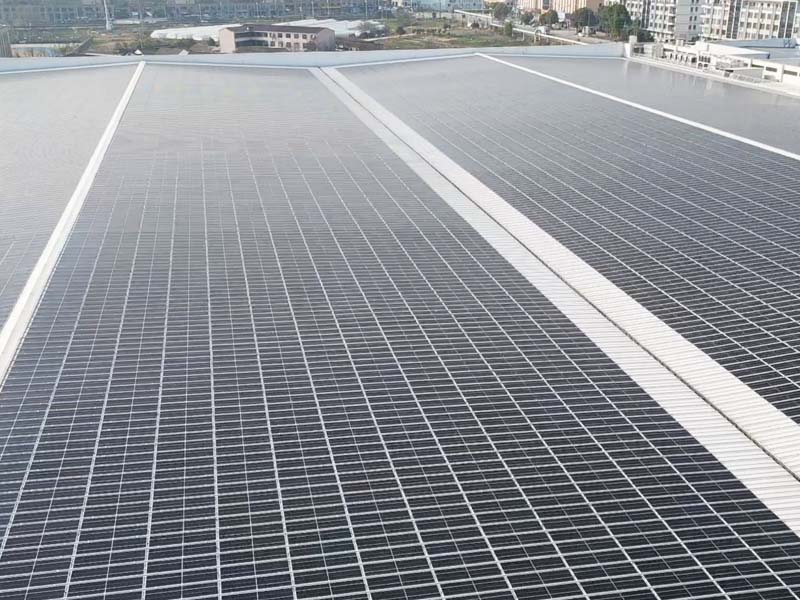 1742798051444447.jpg 7.jpg